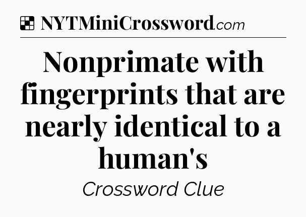 Solution: Nonprimate with fingerprints that are nearly identical to a human's - NYT Crossword