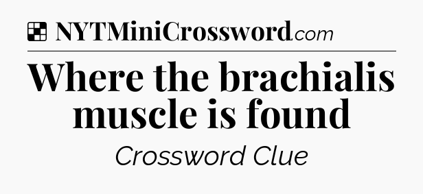 Solution: Where the brachialis muscle is found - NYT Crossword