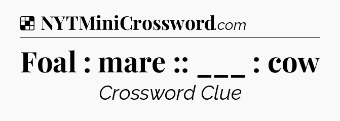 Solution: Foal : mare :: ___ : cow - NYT Crossword