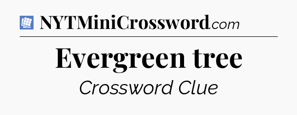 Evergreen tree Puzzle Page Crossword Clue