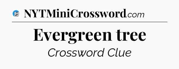 Evergreen tree Crossword Clue