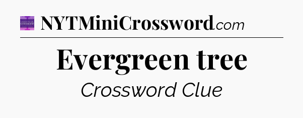 Evergreen tree - Thomas Joseph Crossword