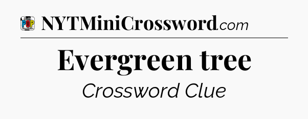 Evergreen tree Crossword Clue