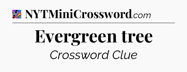 Evergreen tree Crossword Clue