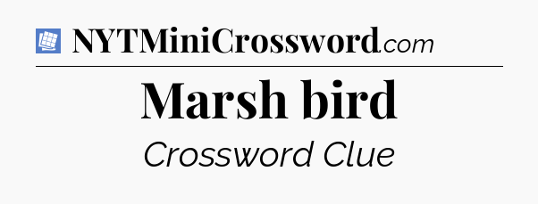 Marsh bird Puzzle Page Crossword Clue