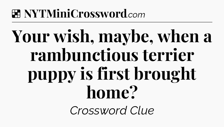 Solution: Your wish, maybe, when a rambunctious terrier puppy is first brought home - NYT Crossword