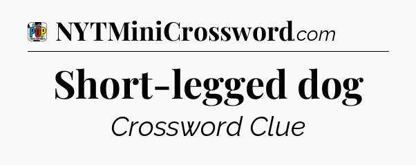 Short-legged dog Crossword Clue