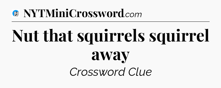 Nut that squirrels squirrel away Crossword Clue
