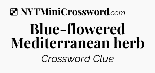 Solution: Blue-flowered Mediterranean herb - NYT Crossword
