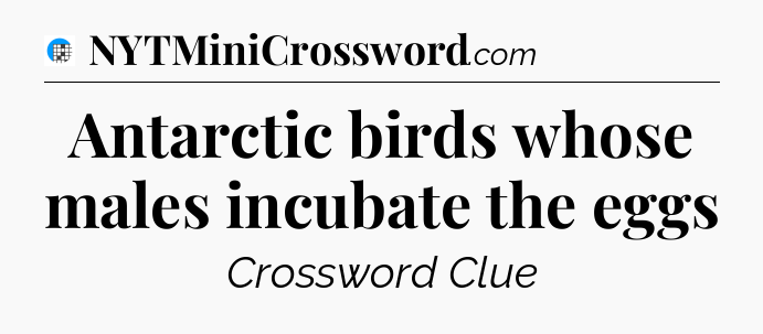 Antarctic birds whose males incubate the eggs Crossword Clue
