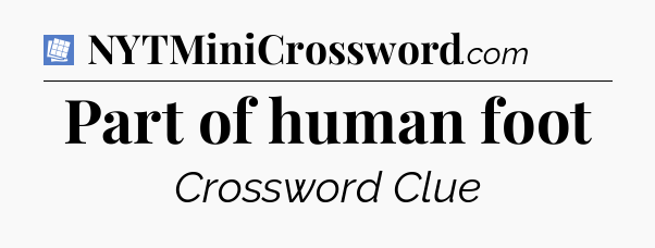 Part of human foot Puzzle Page Crossword Clue