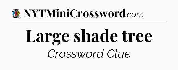 Large shade tree Crossword Clue