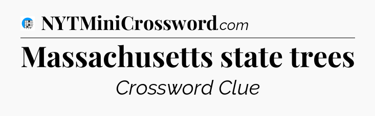 Massachusetts state trees Crossword Clue