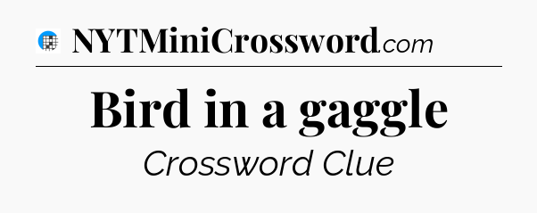 Bird in a gaggle Crossword Clue