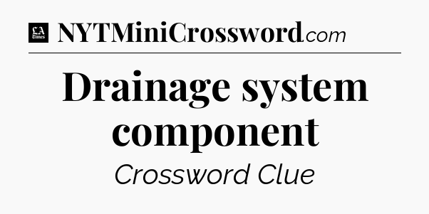 Drainage system component - LA Times Crossword