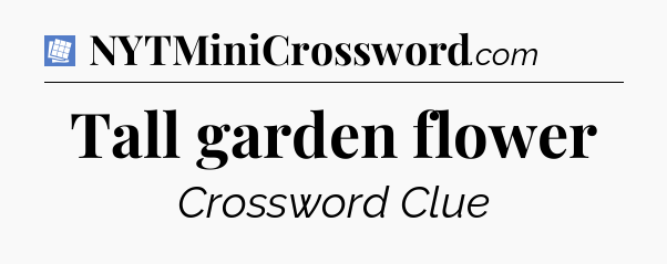 Tall garden flower Puzzle Page Crossword Clue