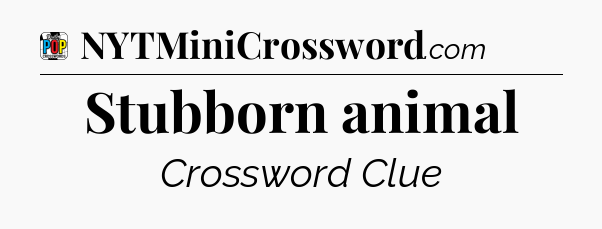 Stubborn animal Crossword Clue