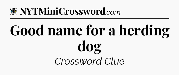 Good name for a herding dog Crossword Clue