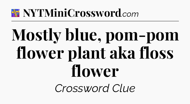 Mostly blue, pom-pom flower plant aka floss flower Codycross