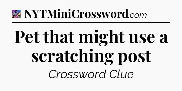 Pet that might use a scratching post Crossword Clue