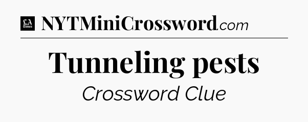 Tunneling pests - LA Times Crossword