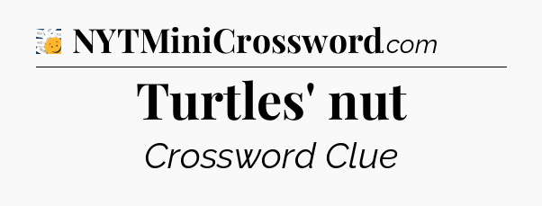 Turtles' nut - 7 Little Words
