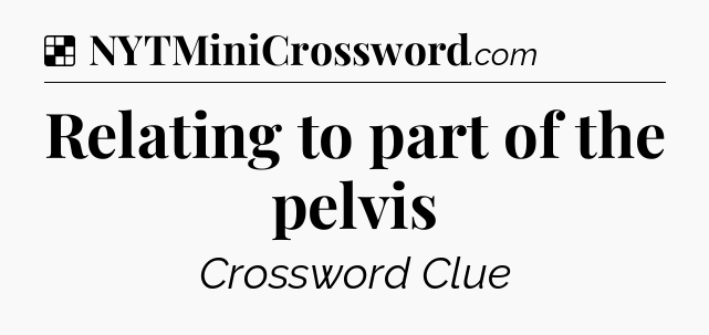 Solution: Relating to part of the pelvis - NYT Crossword