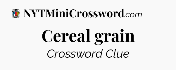 Cereal grain Crossword Clue