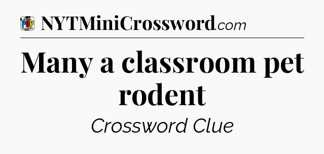 Many a classroom pet rodent Crossword Clue
