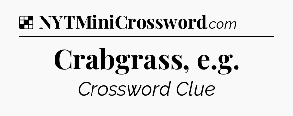 Solution: Crabgrass, e.g - NYT Crossword
