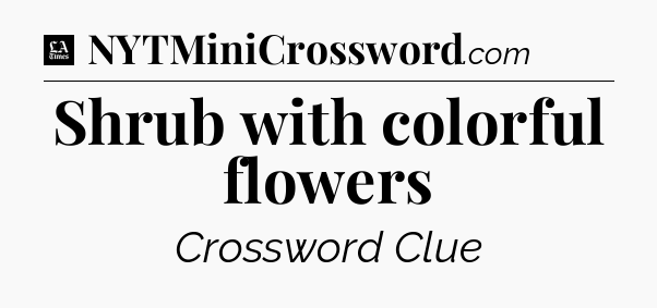 Shrub with colorful flowers - LA Times Crossword