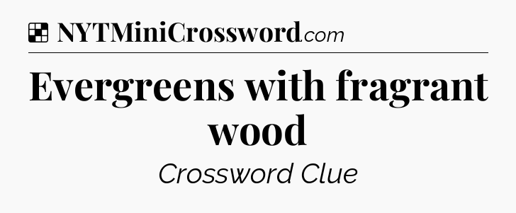 Solution: Evergreens with fragrant wood - NYT Crossword
