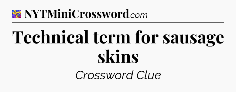 Technical term for sausage skins Codycross