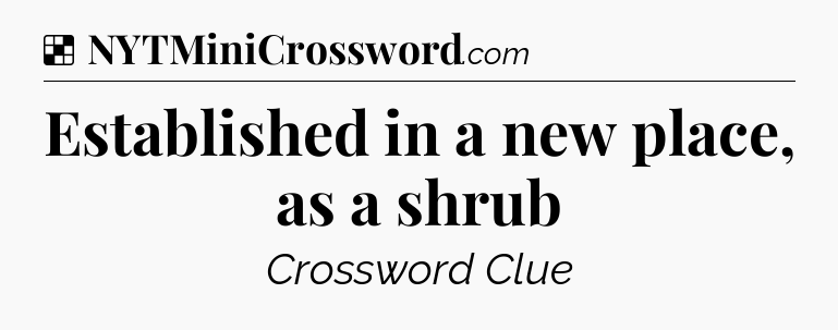 Solution: Established in a new place, as a shrub - NYT Crossword