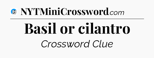 Basil or cilantro Crossword Clue