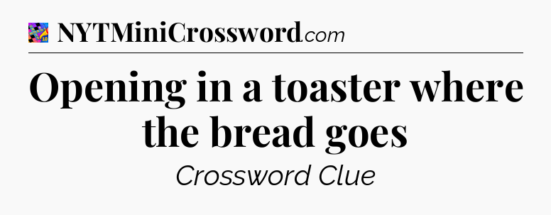 Opening in a toaster where the bread goes Crossword Clue