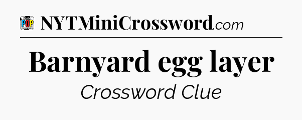 Barnyard egg layer Crossword Clue
