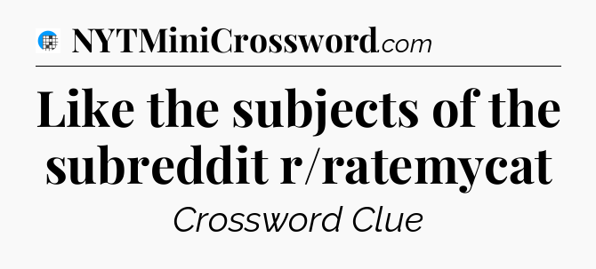 Like the subjects of the subreddit r/ratemycat Crossword Clue