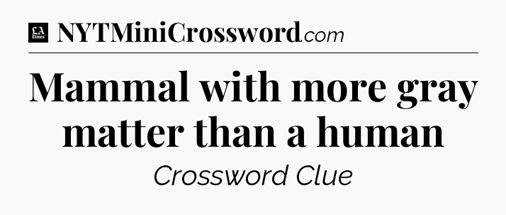 Mammal with more gray matter than a human - LA Times Crossword