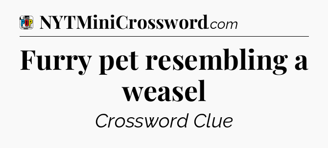 Furry pet resembling a weasel Crossword Clue
