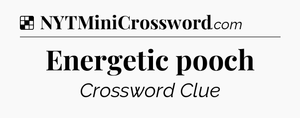 Solution: Energetic pooch - NYT Crossword