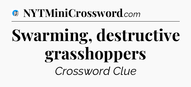 Swarming, destructive grasshoppers Crossword Clue
