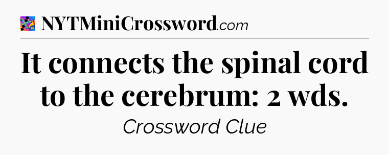 It connects the spinal cord to the cerebrum: 2 wds Crossword Clue