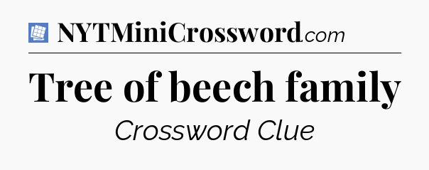 Tree of beech family Puzzle Page Crossword Clue