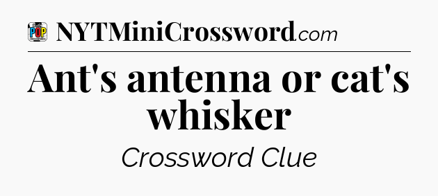 Ant's antenna or cat's whisker Crossword Clue