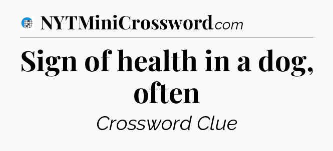 Sign of health in a dog, often Crossword Clue