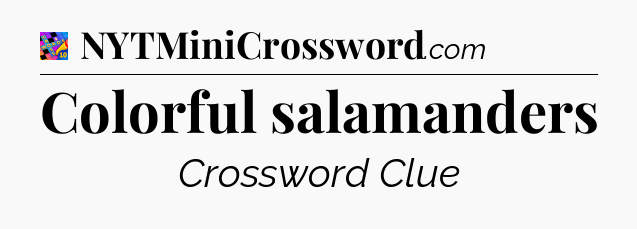 Colorful salamanders Crossword Clue