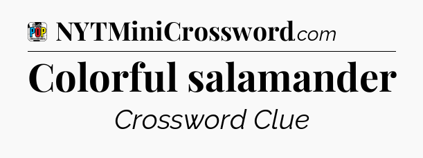 Colorful salamander Crossword Clue
