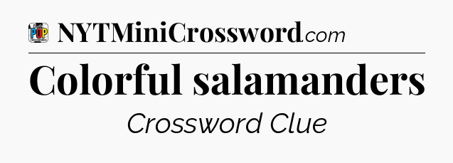 Colorful salamanders Crossword Clue