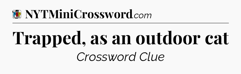 Trapped, as an outdoor cat Crossword Clue